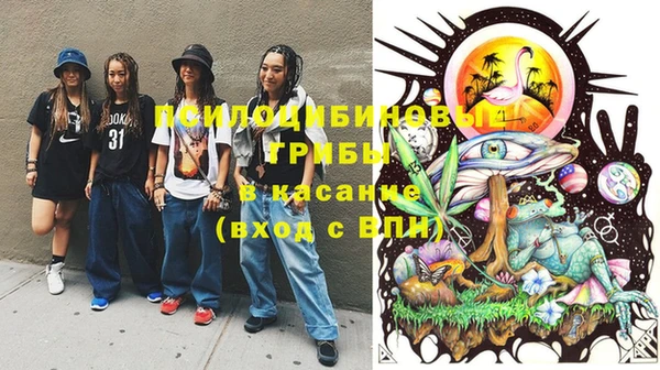 прущая мука Вязьма
