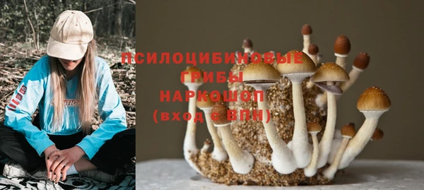 прущая мука Волоколамск