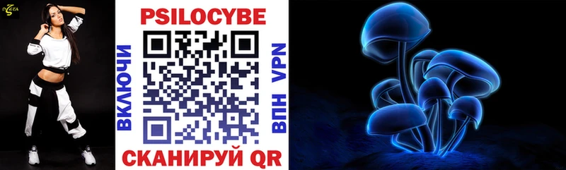 MEGA ССЫЛКА  Окуловка  Галлюциногенные грибы Cubensis 